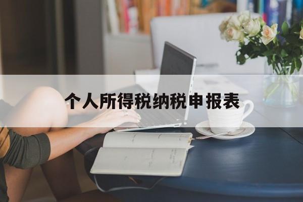 个人所得税纳税申报表(个人所得税纳税申报表的填写)