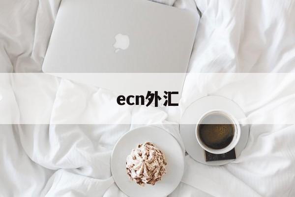 ecn外汇(ecn外汇交易)